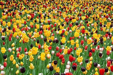 《严阵以待》1.0正式版现已上线Steam