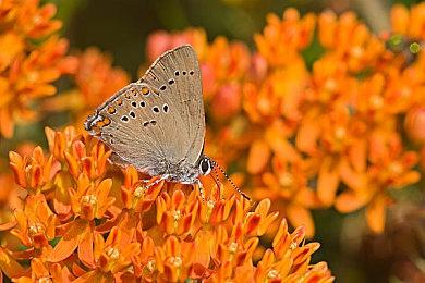 微软Q3财报：《使命召唤》助力游戏收入大涨51% 但Xbox销量下滑严重